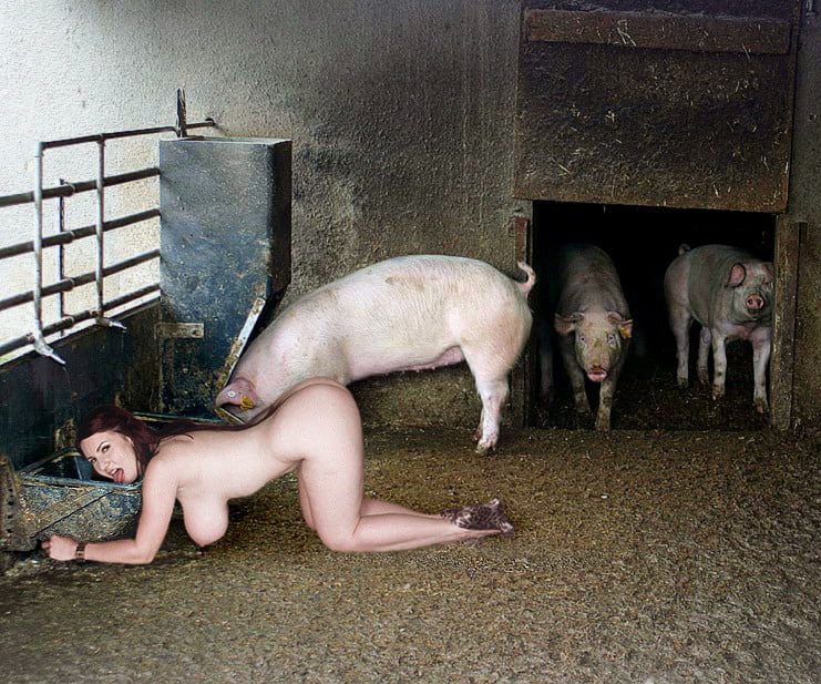 Pig having sex with women ✔ Zoo Fucker Category - Artworks S