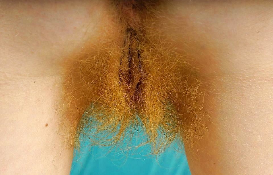 Густые волосы на пизде рыжей девушки
