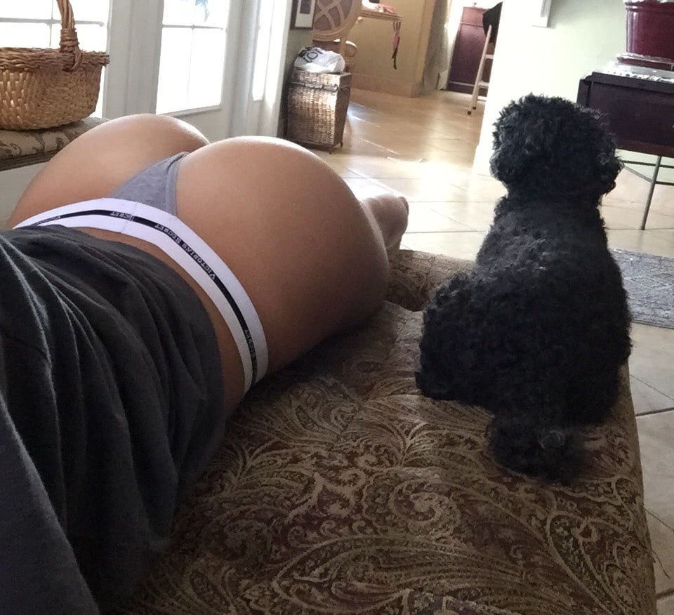261_1000.jpg