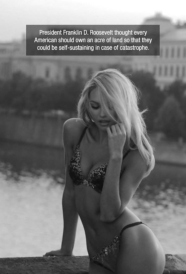 Free Hot Babes 3 photos