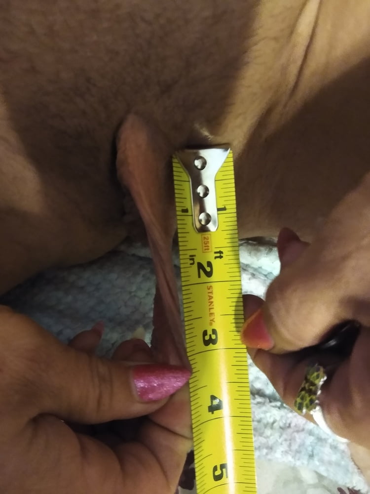 Measuring them - 5 Photos 