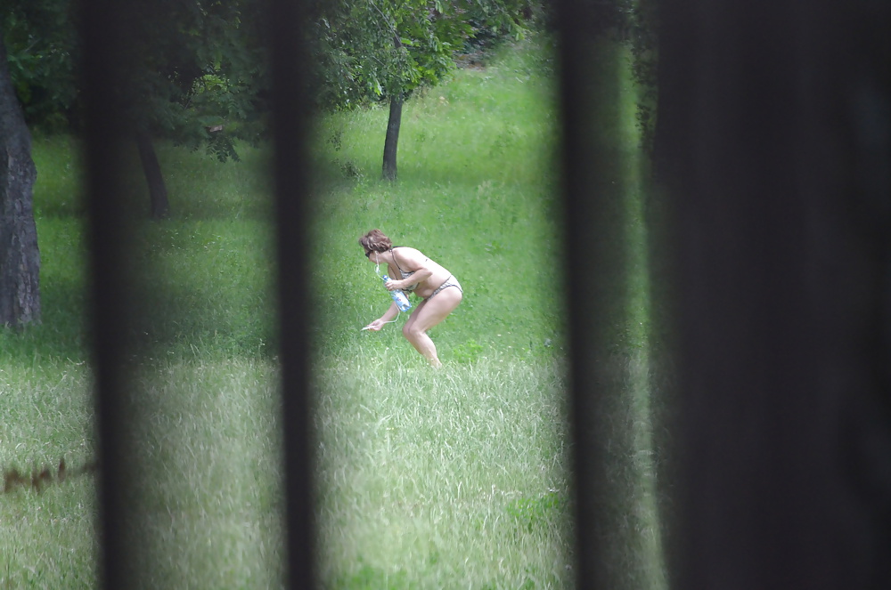 Free Sunbathing in the park photos