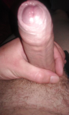 Young cock