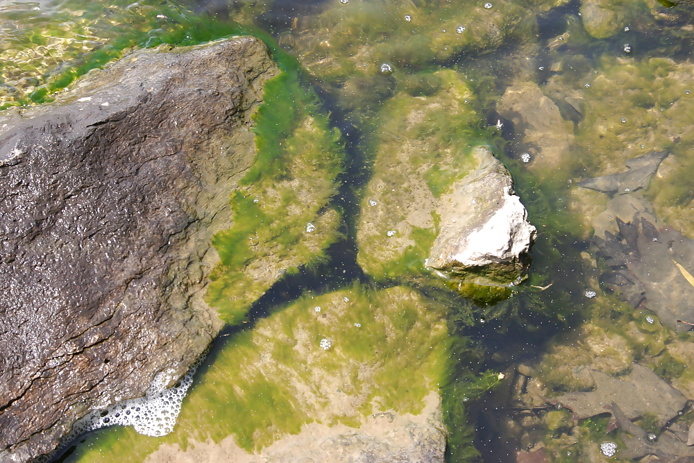 Free A Different View photos