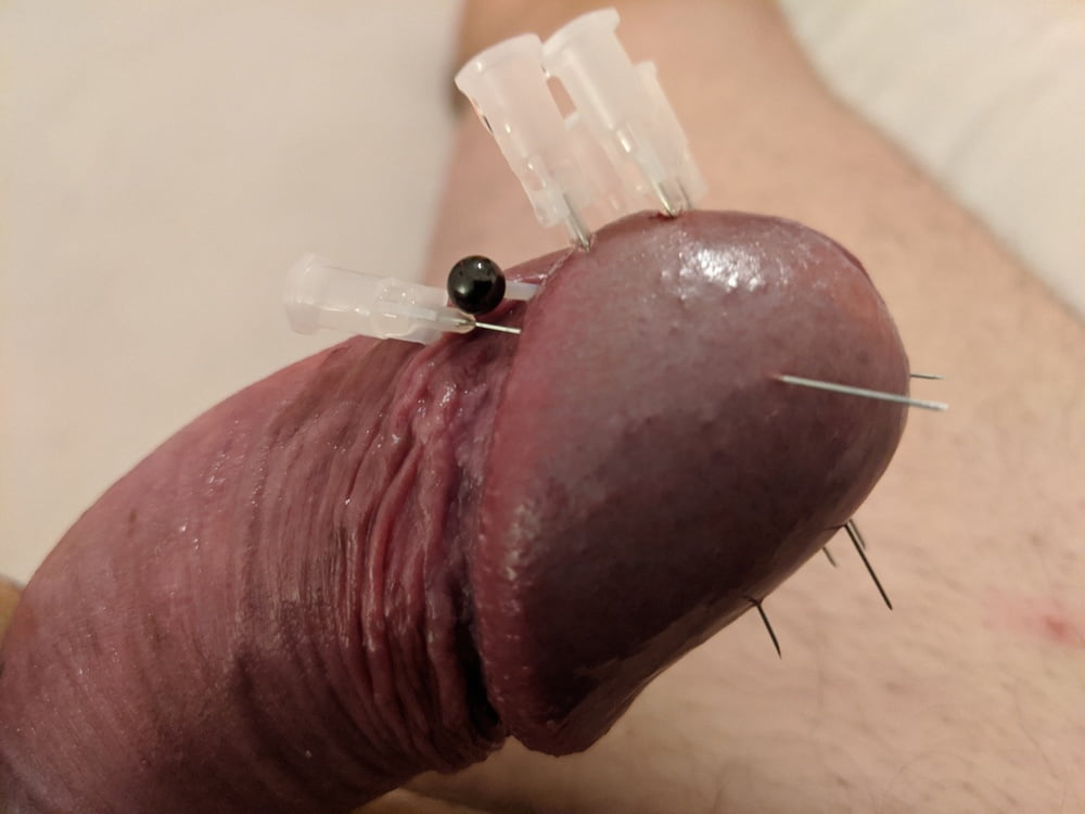 Sexual Piercing Needle - Cock Head Piercing Needle Fetish CBT - 9 Pics | xHamster