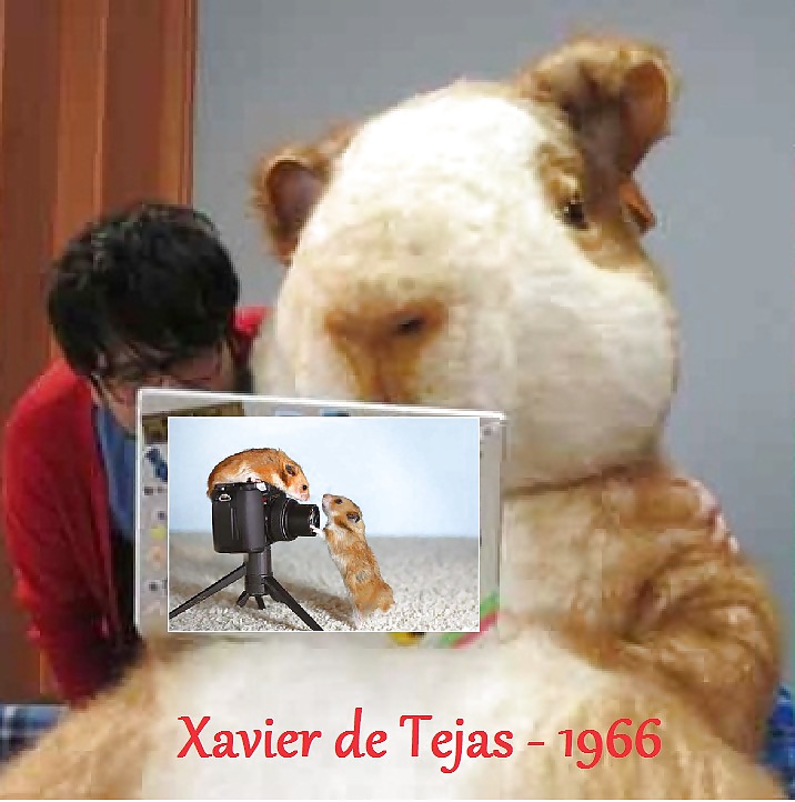 Free FORE eye ( Four Eye - Gulf Joke) photos