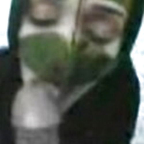 Free Hijab-O-Rama photos