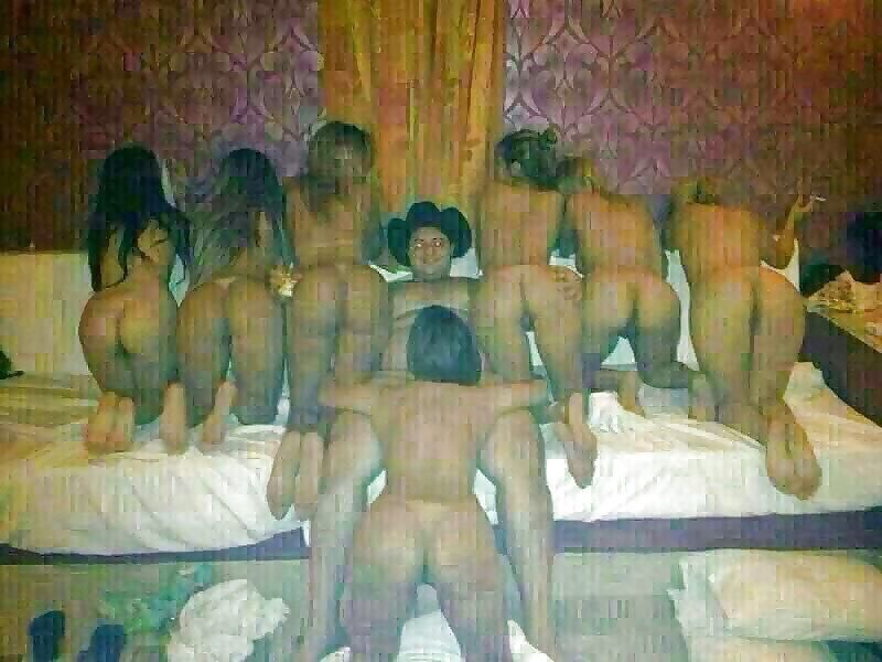 Free Miscellany 19 photos