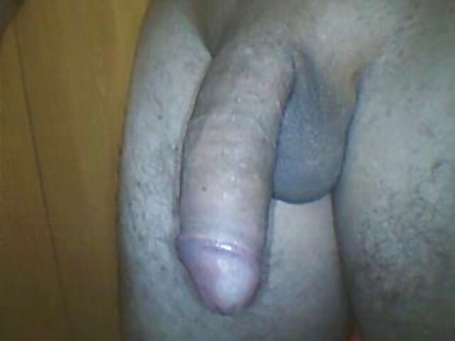 Free elcalientes shaved huge Cock photos