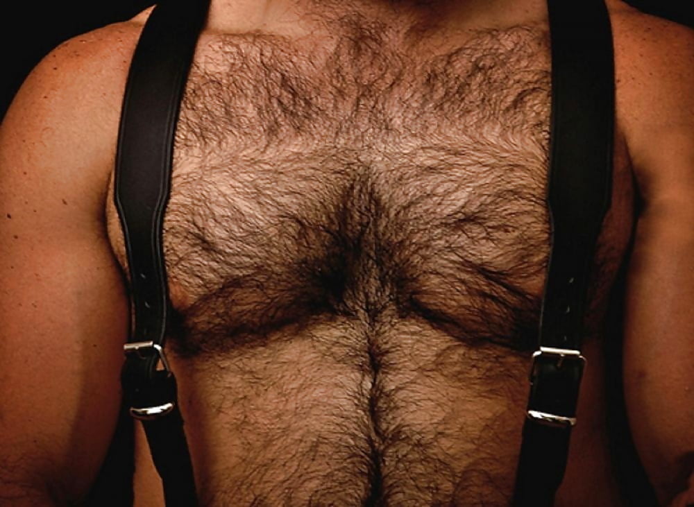 Hairy Chest Fetish