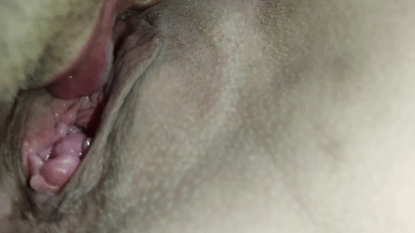 CLOSE UP Pussy Licking GIF #5
