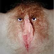 Free eye see you photos