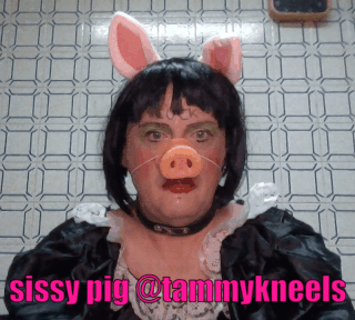 sissy piglet