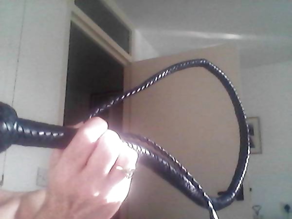 Free Bdsm equipment photos