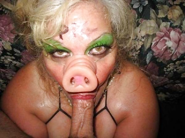 Free Pig Submissive Sluts photos