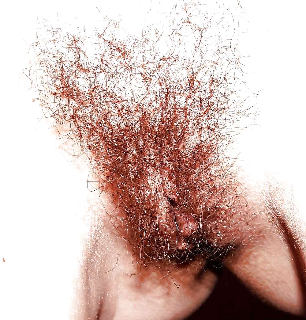Free Picture compilation of my hairy pussy photos