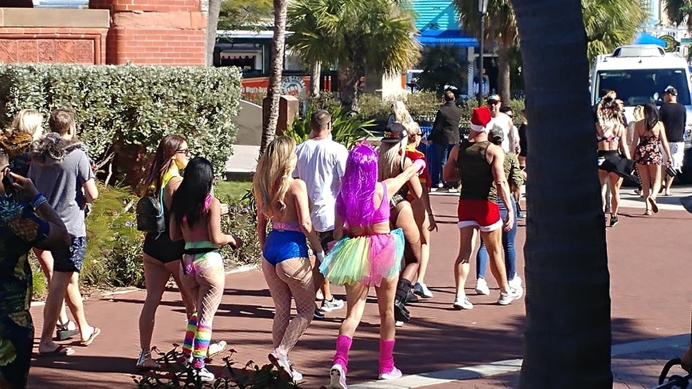 Free Key West January 2019 photos