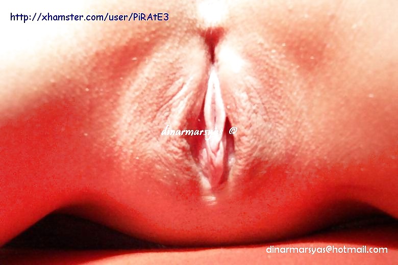Free delight pussy photos