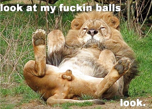 Free FANTASY LAND- computer art photos