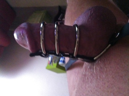 my cock ring