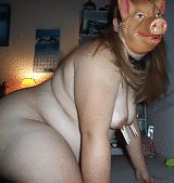 Free pig photos