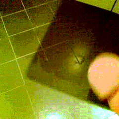 射精gif