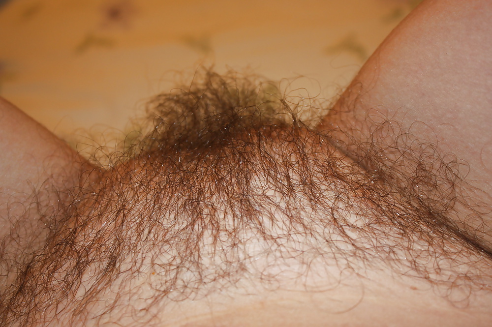 Free wife hairy pussy 3 photos