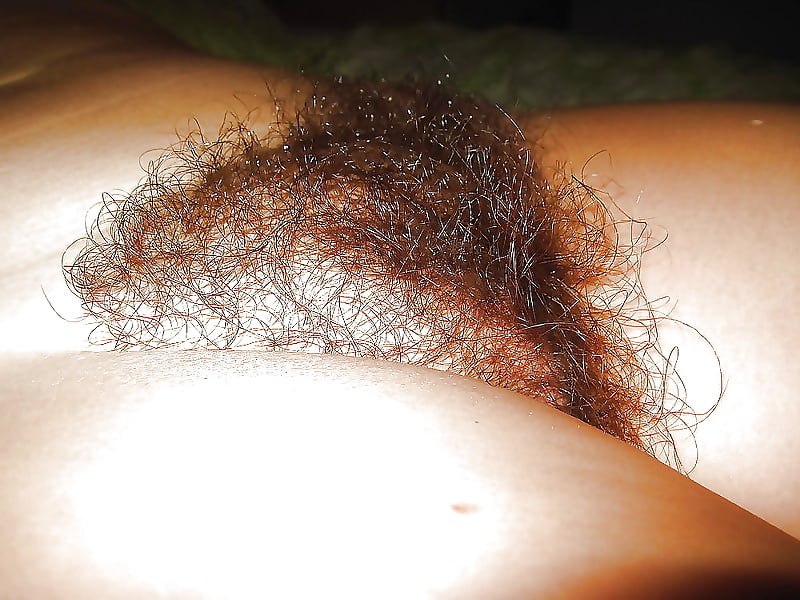 Free Mature Hairy cunts! Amateur mix! photos