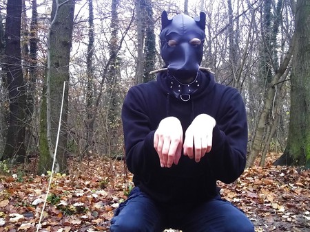 Sklavenhund im Wald - slave in the woods