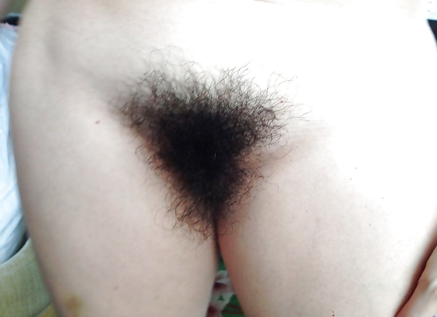 Free Hairy Pussy Mix 8 photos