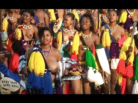 Free Reed Dance Ceremony. Huge Tits photos