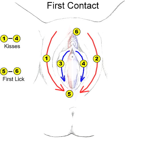 Free Instuctions for perfect pussy lick photos