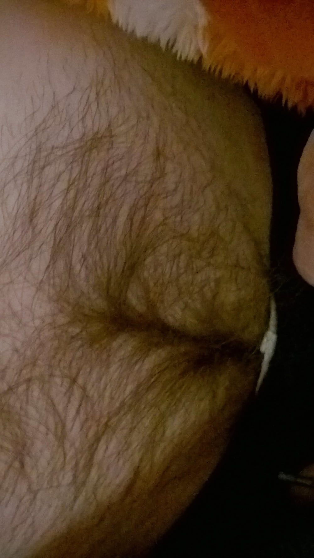 Free My Wife unaware Hairy Pussy photos