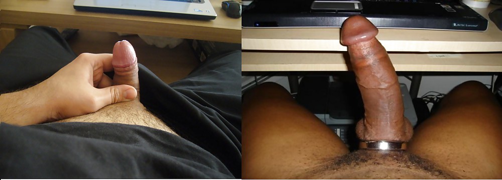 Comparing Dicks Pics And Porn Images.
