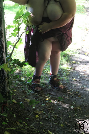 die parkbank the park bench iv         