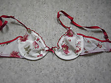 Free Teen Bra photos