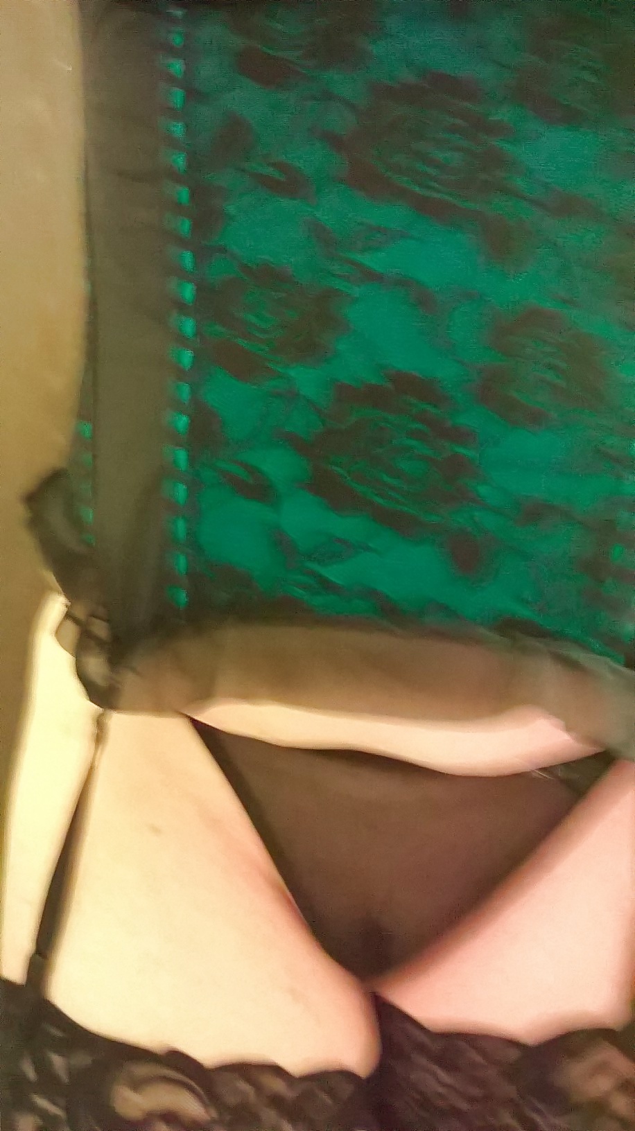 Free Pet modeling new outfit for Master photos