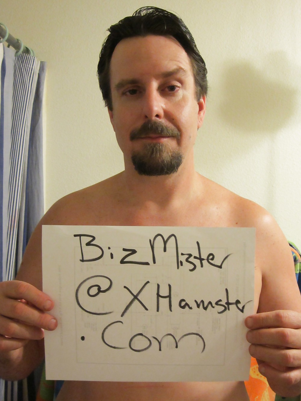 bizmister introduction