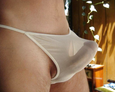 Panty Covered Cock.