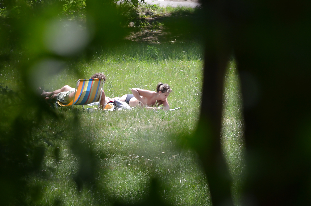 Free girl sunbathing in the park I photos