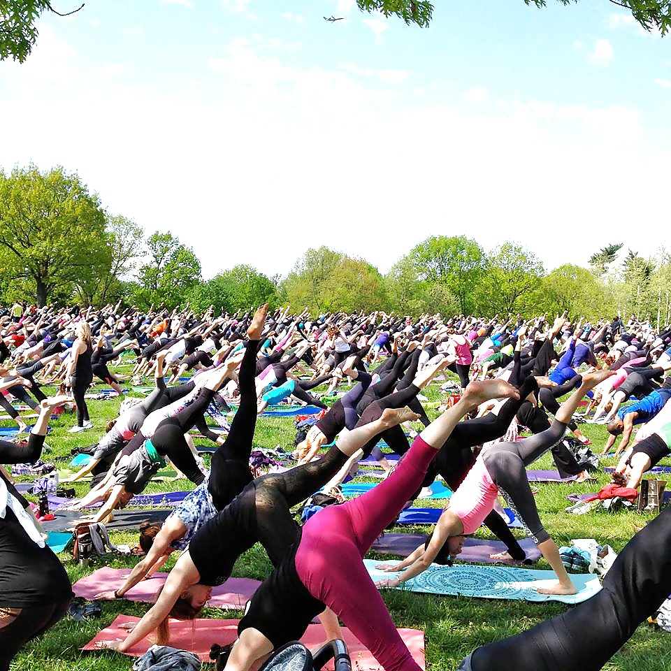 Free Yoga pants 12 photos