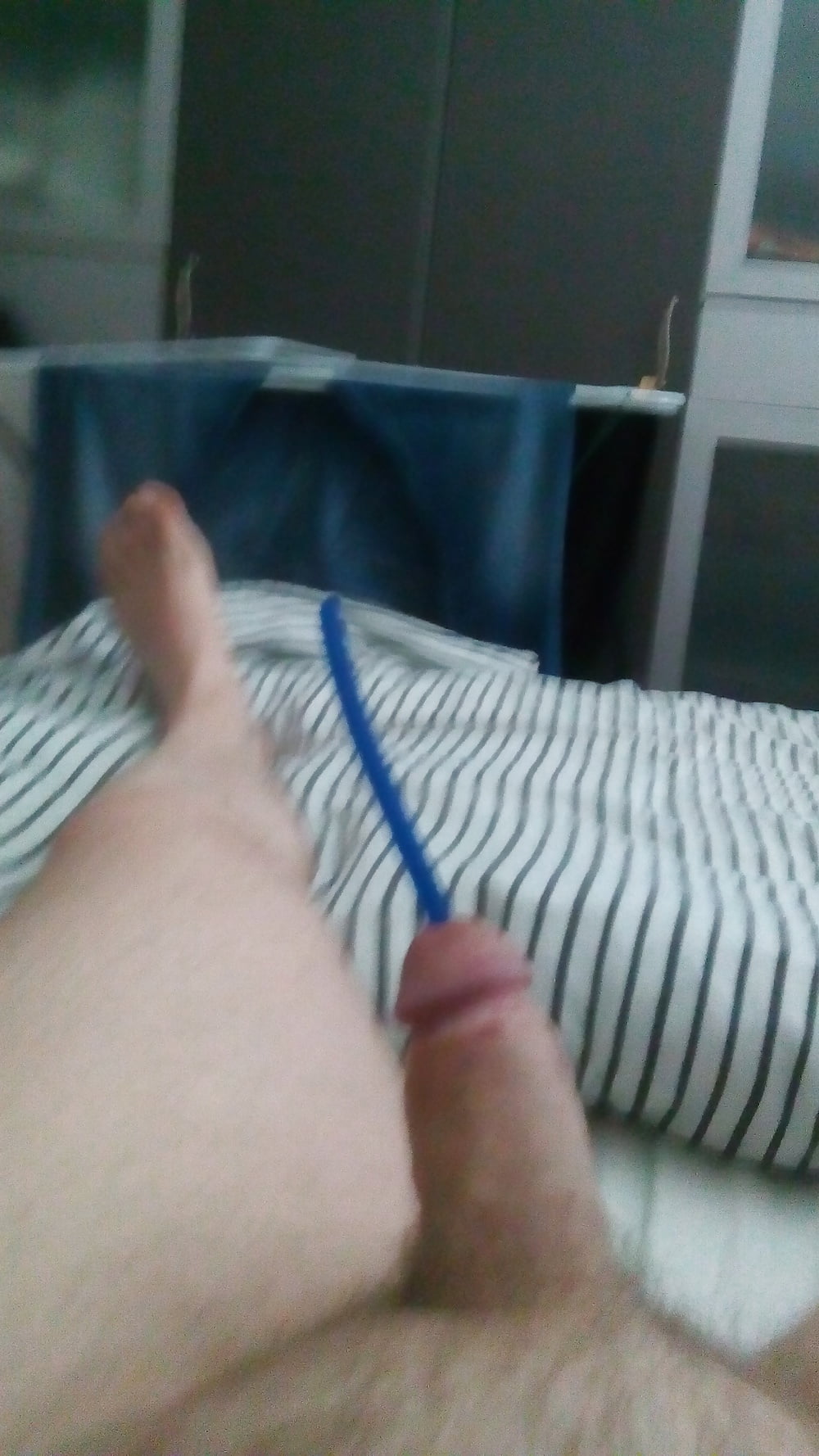 Free Galerie 2 photos