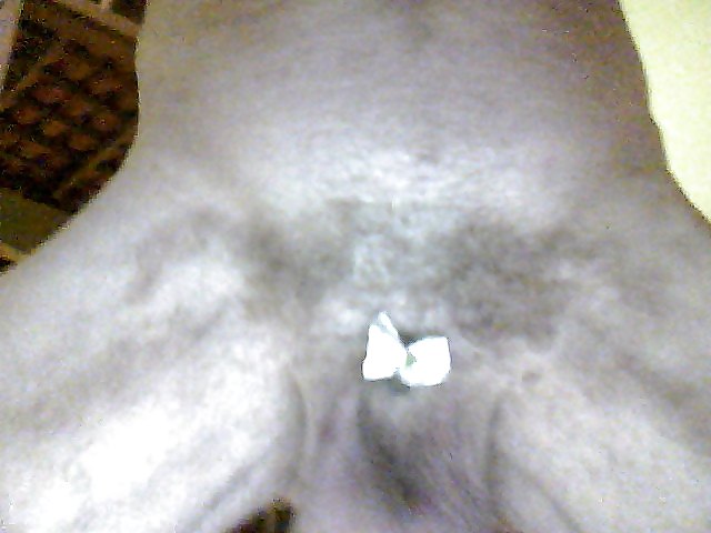 Free with butterfly photos