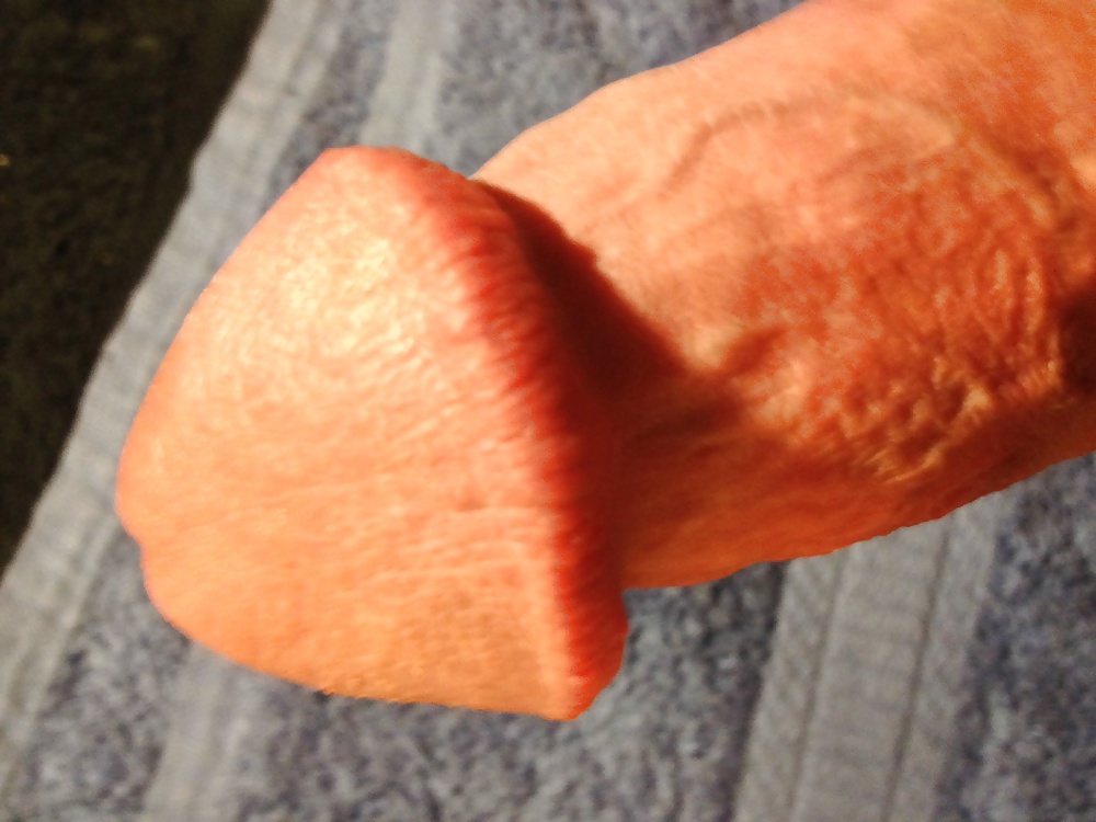 Free More...Comments and opinions always welcome photos