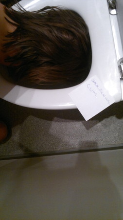 One of my slaves puts his head inside the toilet for me