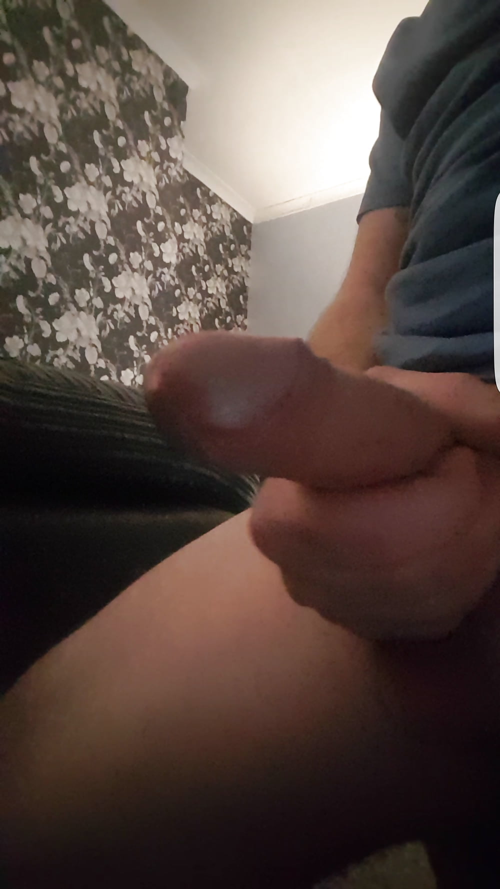 Free Pics of my hubby's cock before I sucked him dry photos