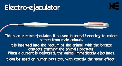 Free Cuckold Captions and Memes photos