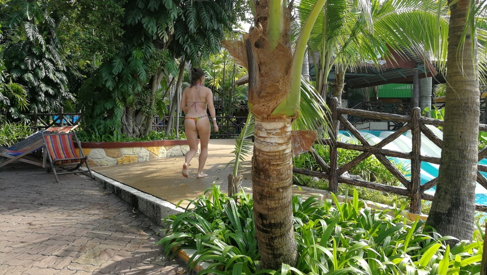 Free public water park ass voyeur wife thong string micro bikini photos ...