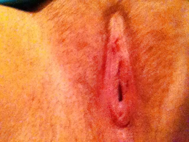 Free My BBW's photos
