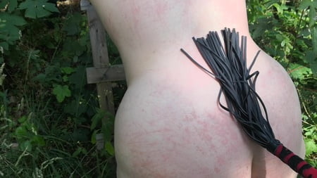 whip my back in public forest         